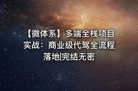 【微体系】多端全栈项目实战：商业级代驾全流程落地|完结无密