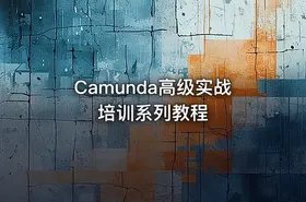 Camunda高级实战培训系列教程