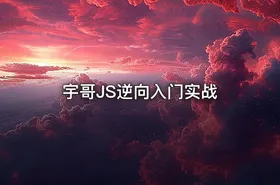 宇哥JS逆向入门实战 - getfromcode