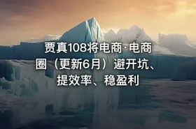 贾真108将电商·电商圈（更新6月）避开坑、提效率、稳盈利 - getfromcode