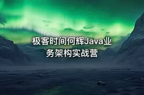 极客时间何辉Java业务架构实战营 - getfromcode