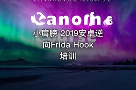 小肩膀 2019安卓逆向Frida Hook培训