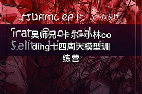 吴师兄-卡尔-小林coding十四周大模型训练营