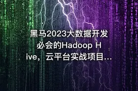 黑马2023大数据开发必会的Hadoop Hive，云平台实战项目全套一网打尽