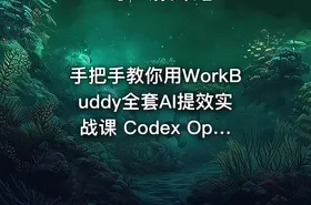 手把手教你用WorkBuddy全套AI提效实战课 Codex OpenClaw自定义Skill