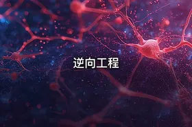 逆向工程
