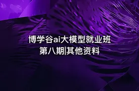 博学谷ai大模型就业班第八期|其他资料