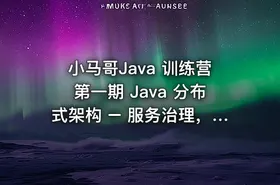 小马哥Java 训练营第一期 Java 分布式架构 – 服务治理，价值2999 - getfromcode