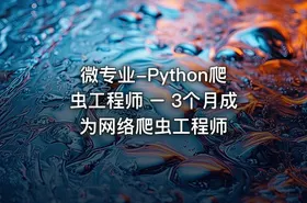 微专业-Python爬虫工程师 – 3个月成为网络爬虫工程师