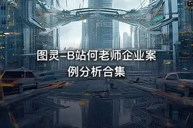 图灵-B站何老师企业案例分析合集