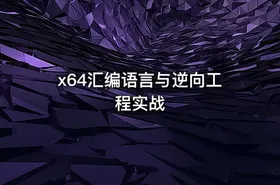 x64汇编语言与逆向工程实战