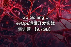 Go Golang DevOps运维开发实战集训营 【9.7GB】