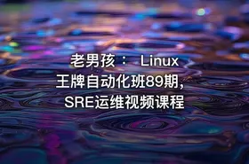 老男孩 ： Linux王牌自动化班89期， SRE运维视频课程