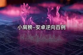 小肩膀-安卓逆向百例