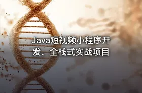 Java短视频小程序开发，全栈式实战项目