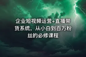 企业短视频运营+直播带货系统，从小白到百万粉丝的必修课程