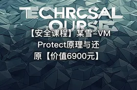 【安全课程】某雪-VMProtect原理与还原【价值6900元】 - getfromcode