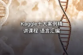 Kaggle十大案例精讲课程 语言汇编 - getfromcode