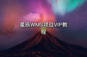 星辰WMS项目VIP教程