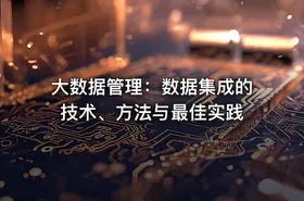 大数据管理：数据集成的技术、方法与最佳实践