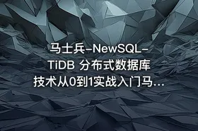 马士兵-NewSQL-TiDB 分布式数据库技术从0到1实战入门马士兵 - getfromcode