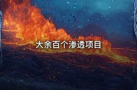 大余百个渗透项目