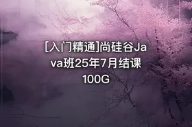 [入门精通]尚硅谷Java班25年7月结课 100G - getfromcode