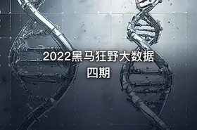 2022黑马狂野大数据四期