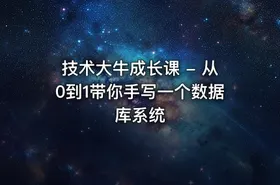 技术大牛成长课 - 从0到1带你手写一个数据库系统 - getfromcode