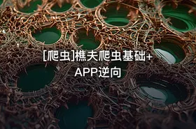 [爬虫]樵夫爬虫基础+APP逆向 - getfromcode