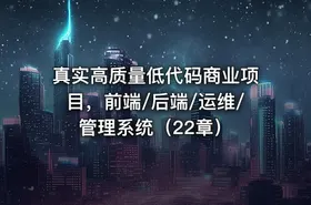 真实高质量低代码商业项目，前端/后端/运维/管理系统（22章）