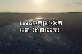 Linux应用核心常用技能（价值199元）