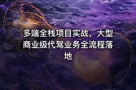 多端全栈项目实战，大型商业级代驾业务全流程落地