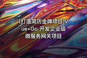(打造简历金牌项目)Vue+Go 开发企业级微服务网关项目