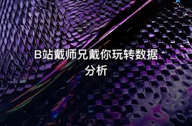 B站戴师兄戴你玩转数据分析