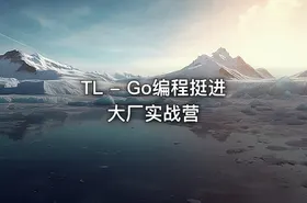 TL - Go编程挺进大厂实战营 - getfromcode