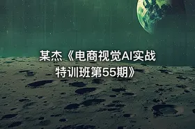 某杰《电商视觉AI实战特训班第55期》 - getfromcode