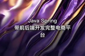 Java Spring带前后端开发完整电商平台