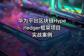 华为平台区块链Hyperledger框架项目实战案例 - getfromcode