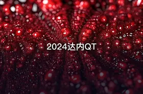 2024达内QT