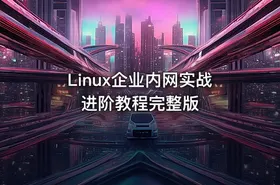 Linux企业内网实战进阶教程完整版