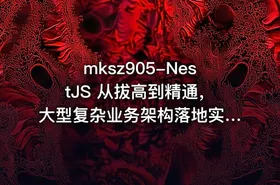 mksz905-NestJS 从拔高到精通，大型复杂业务架构落地实践（36章完结）