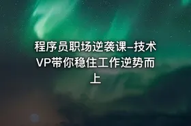 程序员职场逆袭课-技术VP带你稳住工作逆势而上