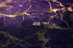 456