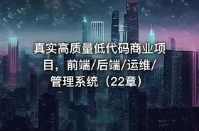 真实高质量低代码商业项目，前端/后端/运维/管理系统（22章）