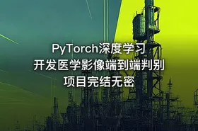 PyTorch深度学习开发医学影像端到端判别项目完结无密