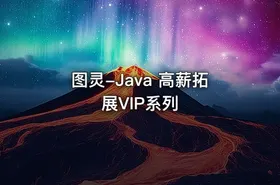 图灵-Java 高薪拓展VIP系列 - getfromcode