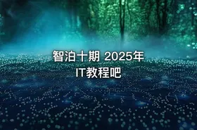 智泊十期 2025年 IT教程吧 - getfromcode