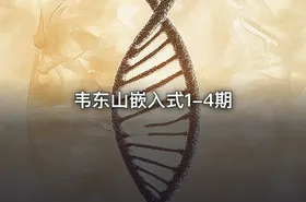 韦东山嵌入式1-4期 - getfromcode