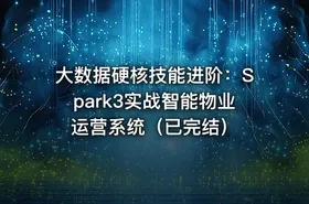 大数据硬核技能进阶：Spark3实战智能物业运营系统（已完结）